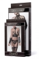 Preview: GREY VELVET Erotik-Set