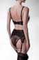 Preview: GREY VELVET Erotic Set